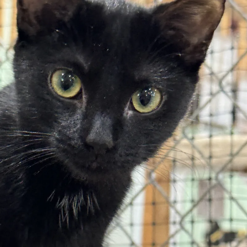 Heidi  Rose  thumbnail 3