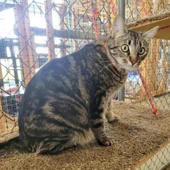 Heidi  Rose  thumbnail 4