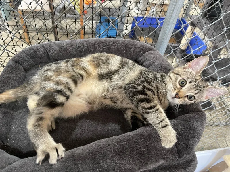 Heidi  Rose  thumbnail 5