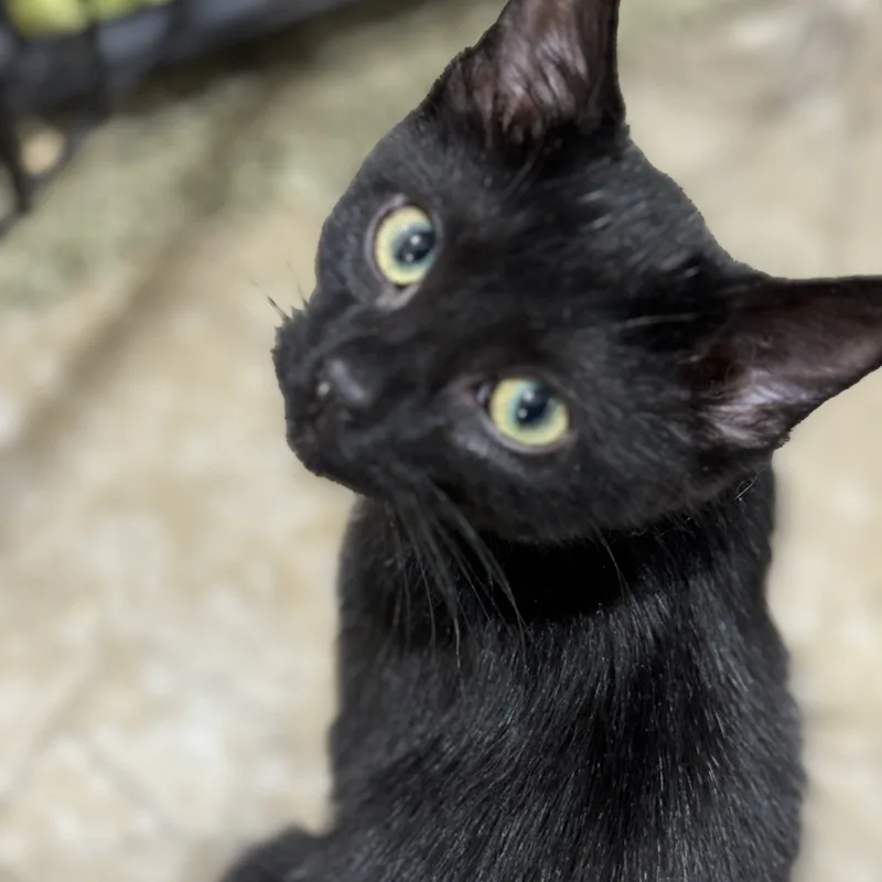 Heidi  Rose  thumbnail 6