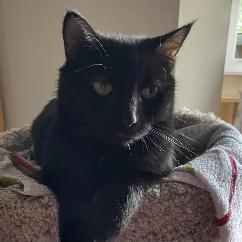 Tilly Millie thumbnail 2