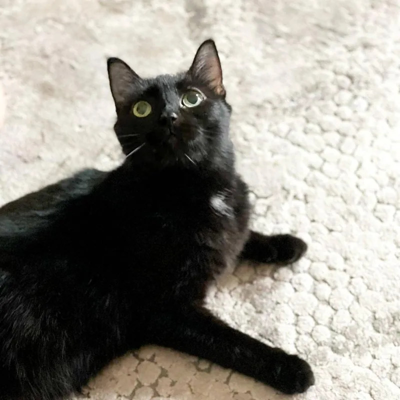 Tilly Millie thumbnail 5