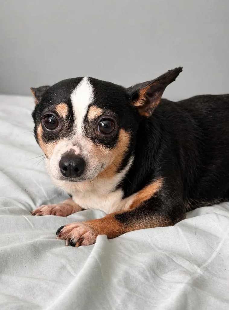 Story & Caspian thumbnail 3