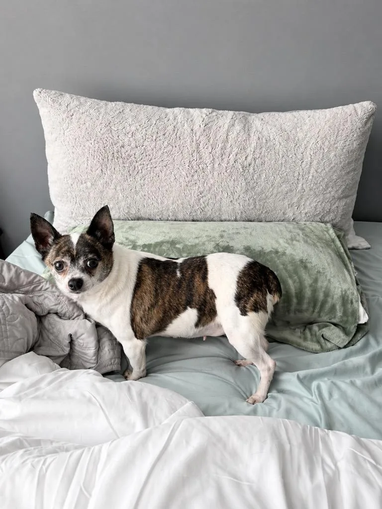 Story & Caspian thumbnail 6