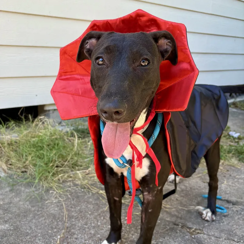 Emery "emmy" thumbnail 3