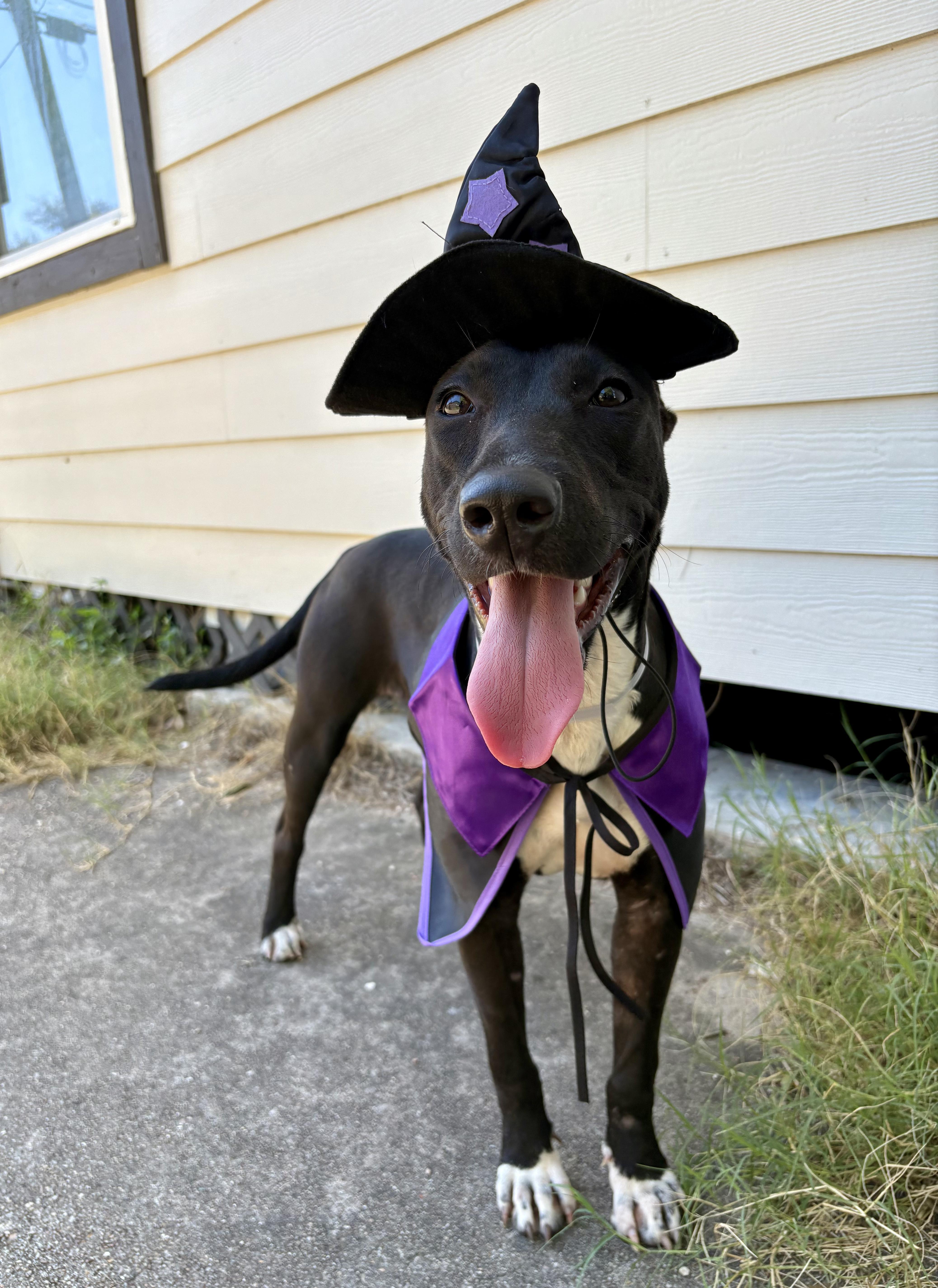 Emery "emmy" thumbnail 5