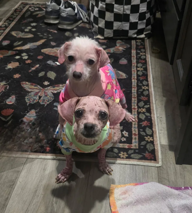 Millie & Teeny Bonded thumbnail 2