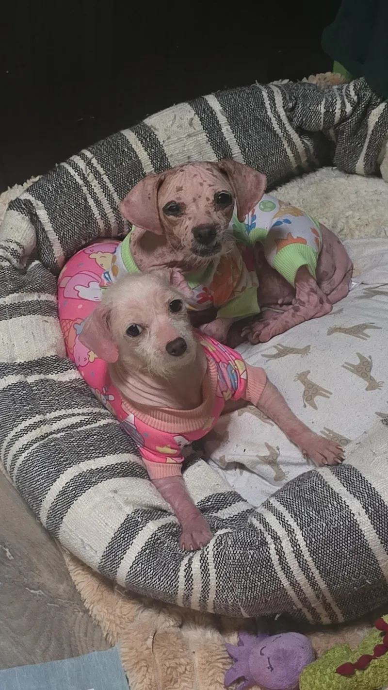 Millie & Teeny Bonded thumbnail 4