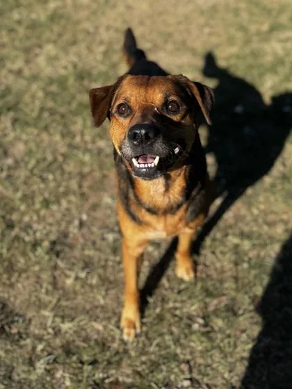 Carmichael Santiago thumbnail 2