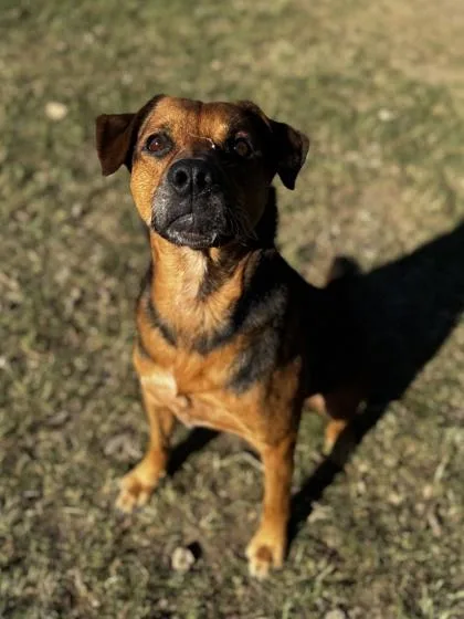 Carmichael Santiago thumbnail 3