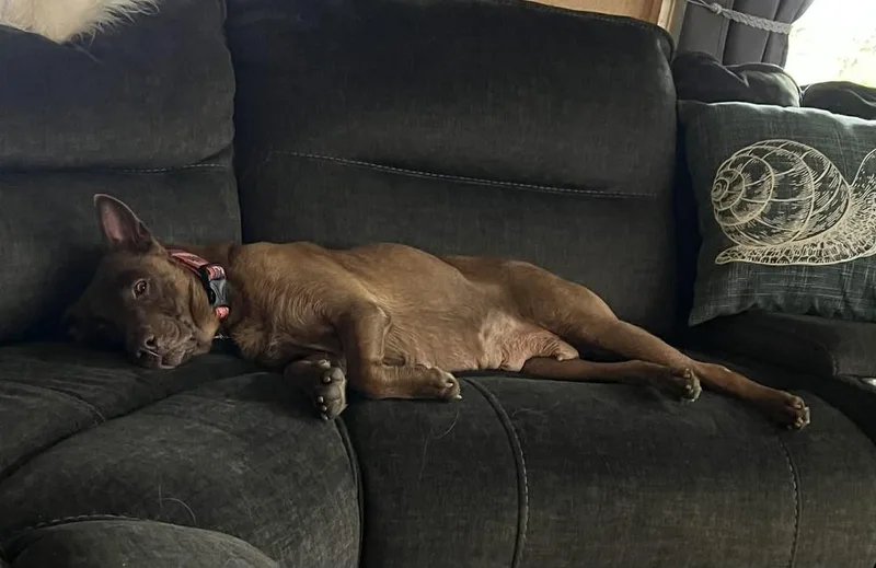 Lupita