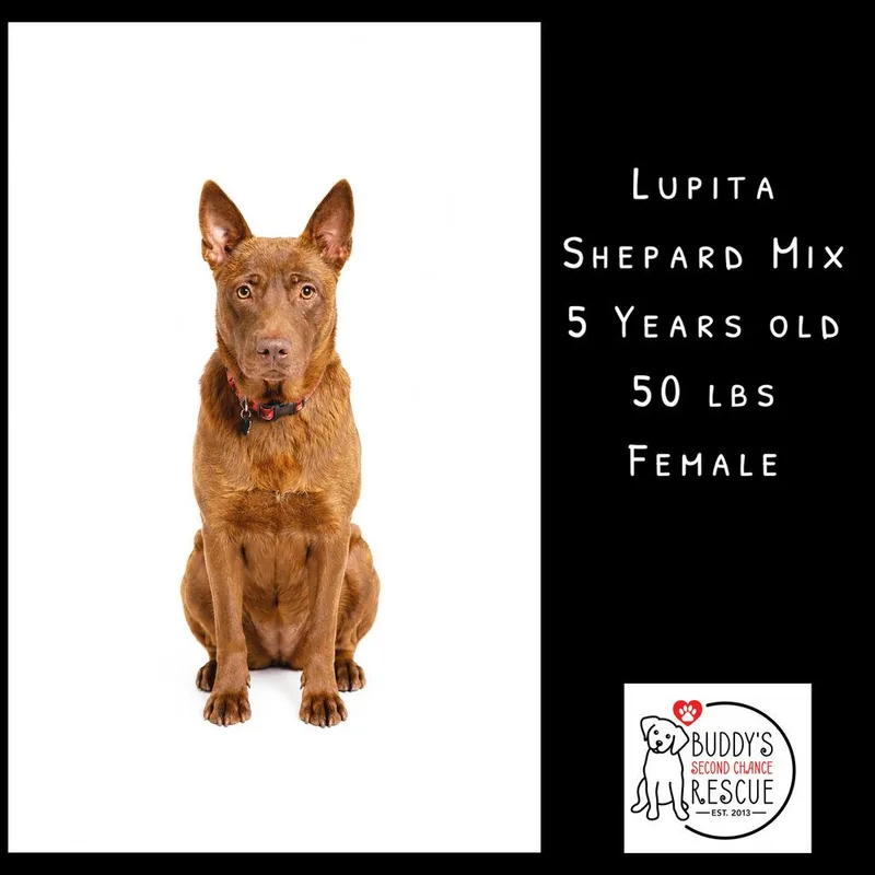 Lupita thumbnail 4