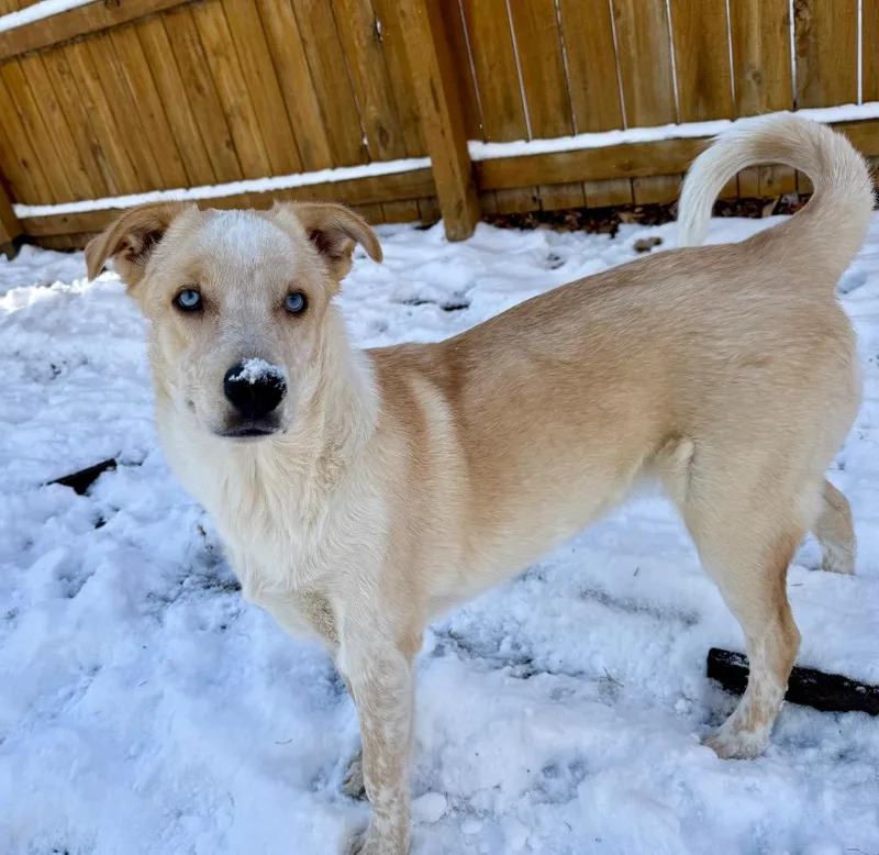 Djimmi The Great thumbnail 3