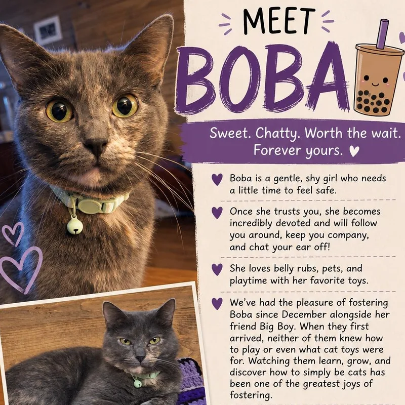Boba thumbnail 2