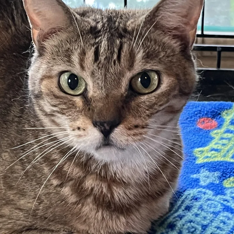 Tina
