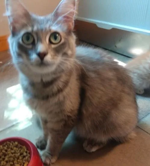 Milo