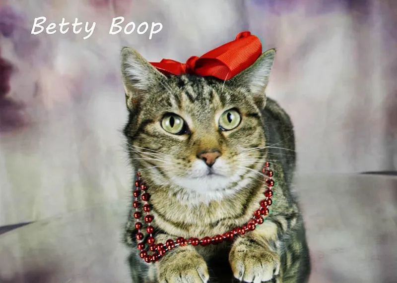 Betty Boop thumbnail 3