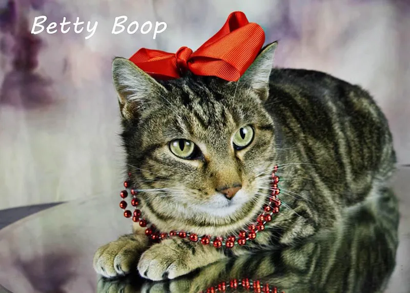 Betty Boop thumbnail 4