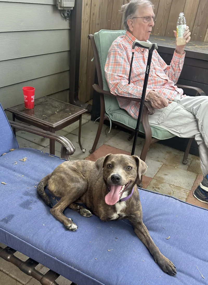 Peggy Sue thumbnail 4