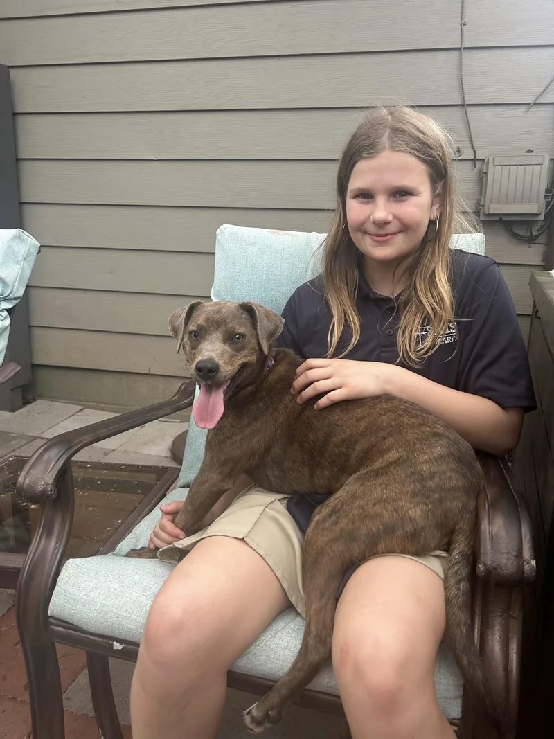 Peggy Sue thumbnail 5