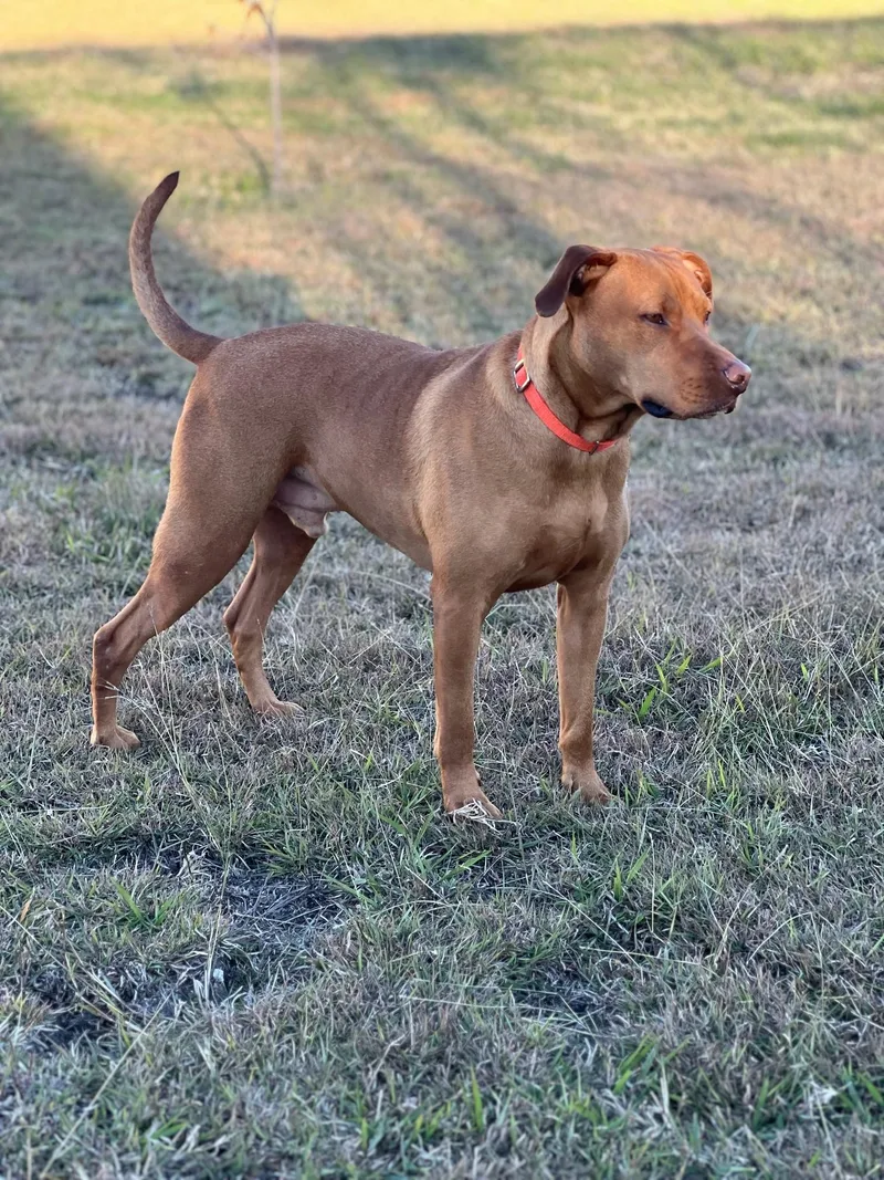 Tucker & Stephan thumbnail 2