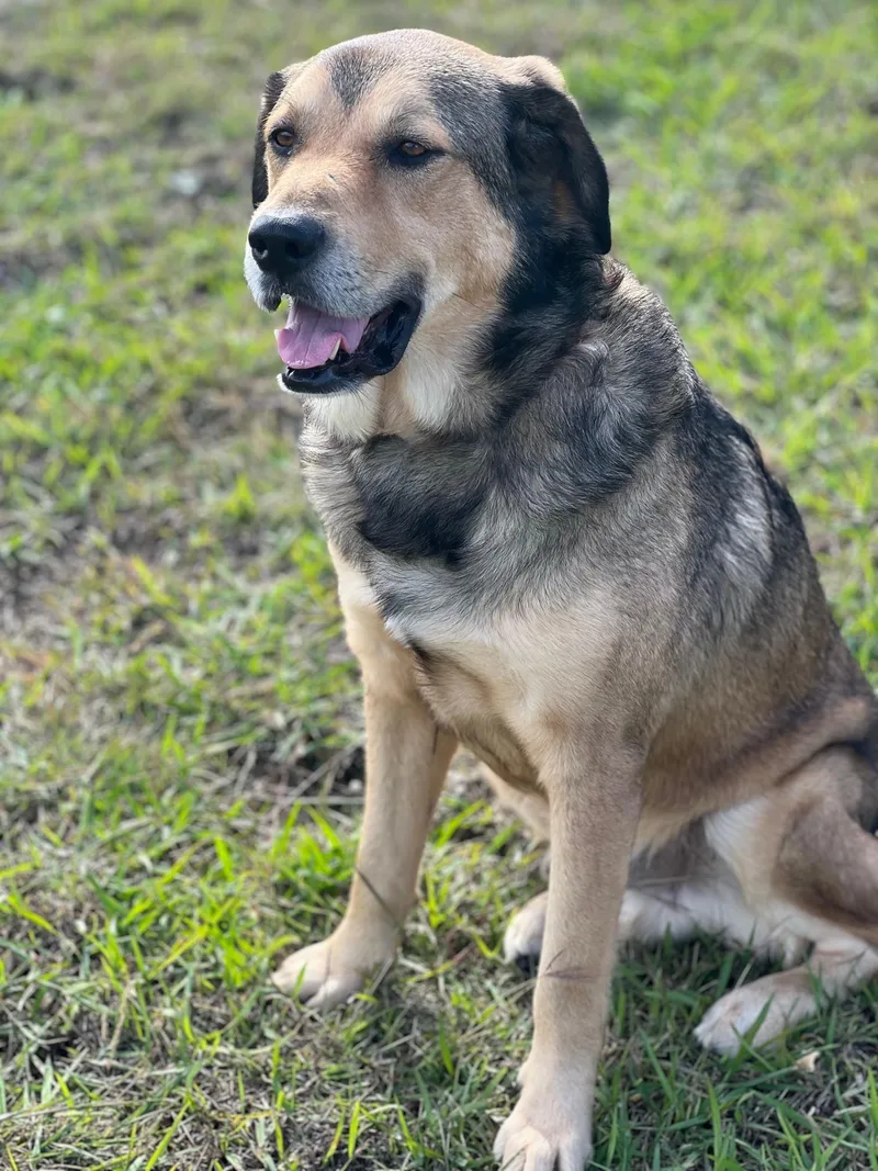 Tucker & Stephan thumbnail 3