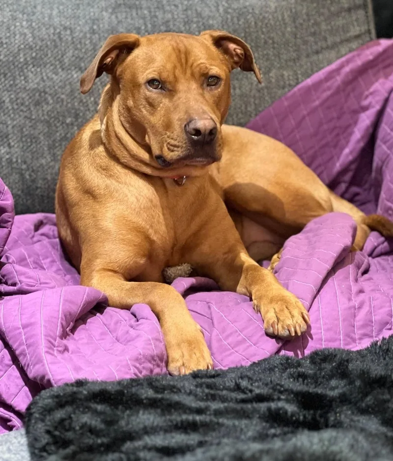 Tucker & Stephan thumbnail 4