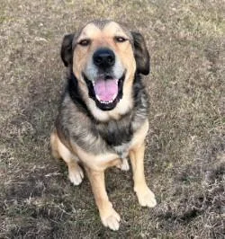 Tucker & Stephan thumbnail 5