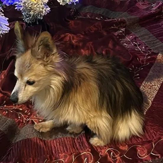 Harley Worth thumbnail 2