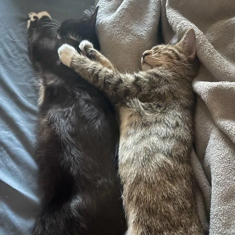 Sophie  & Finnegan thumbnail 2