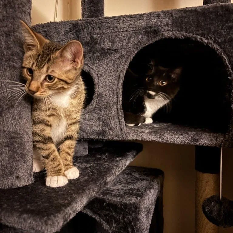 Sophie  & Finnegan thumbnail 3