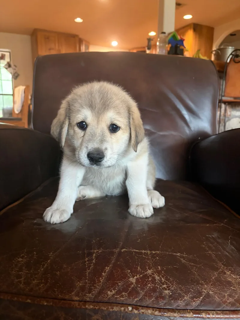 Lottie Atx thumbnail 3