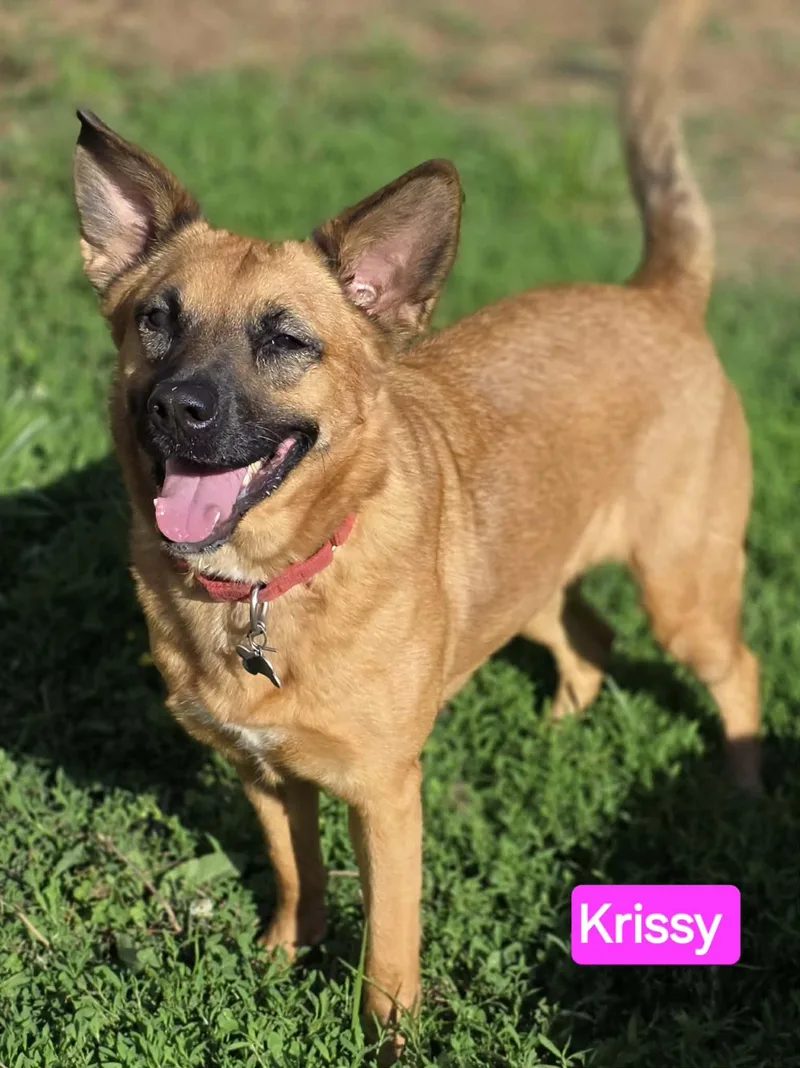 Krissy thumbnail 5