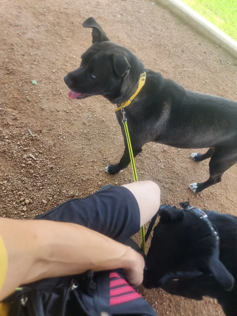 Little Girl thumbnail 2