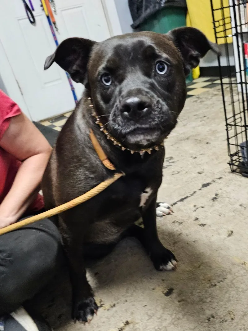 Little Girl thumbnail 3