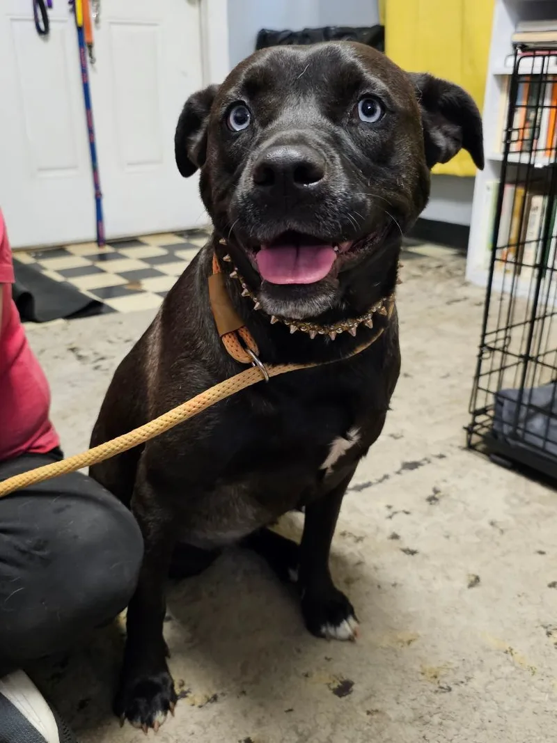 Little Girl thumbnail 4