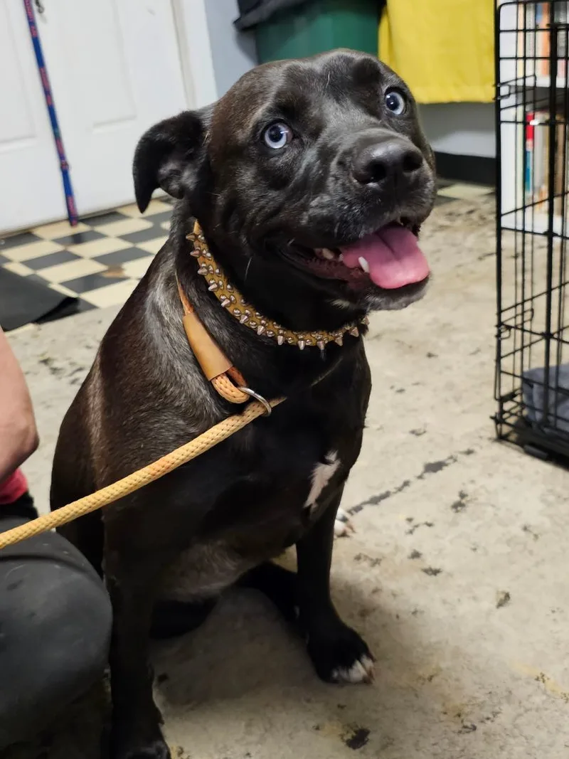 Little Girl thumbnail 5