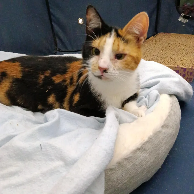 Chrissie thumbnail 4