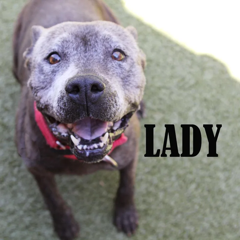 Lady thumbnail 2