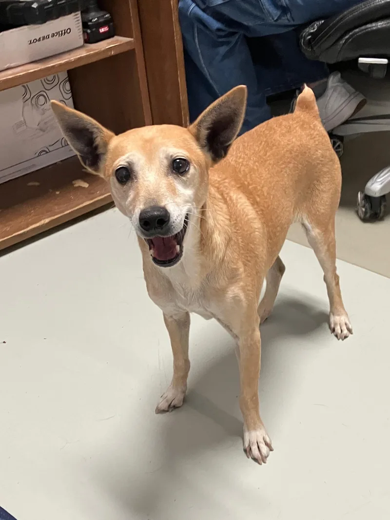 Little Bit thumbnail 2