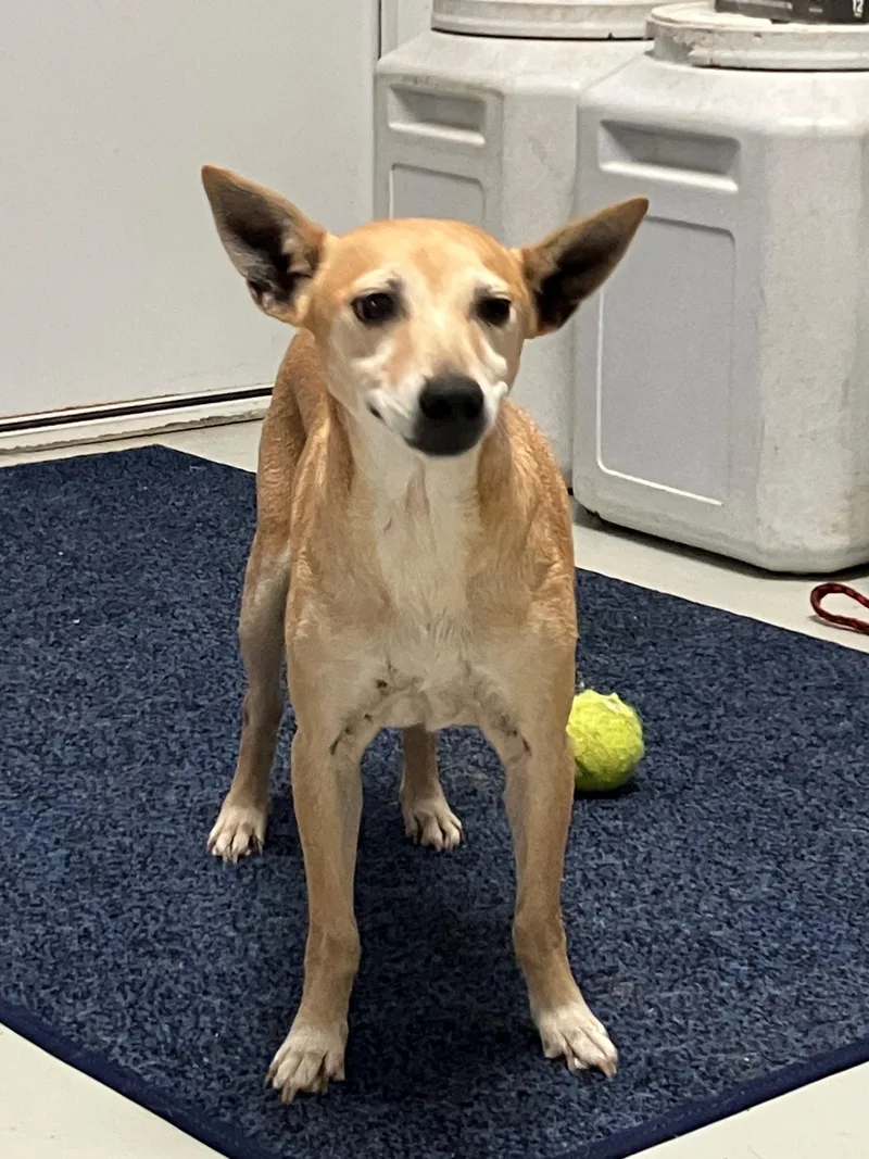 Little Bit thumbnail 3