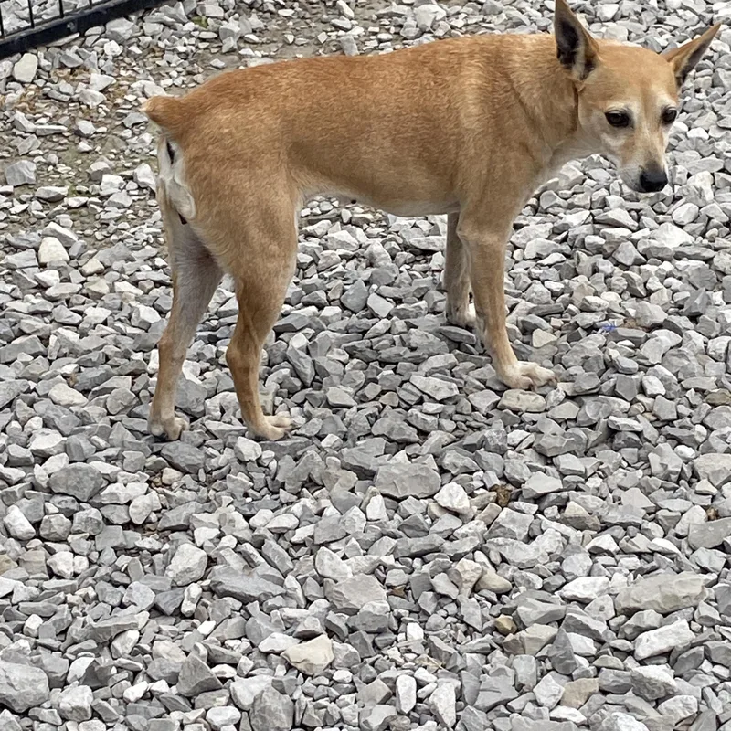 Little Bit thumbnail 4