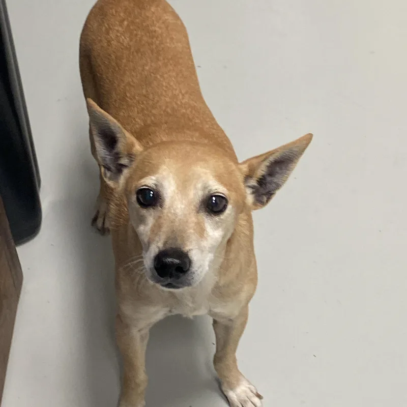 Little Bit thumbnail 6