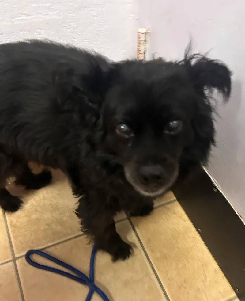 Stellahomeless At thumbnail 3