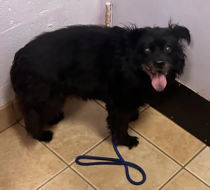 Stellahomeless At thumbnail 5