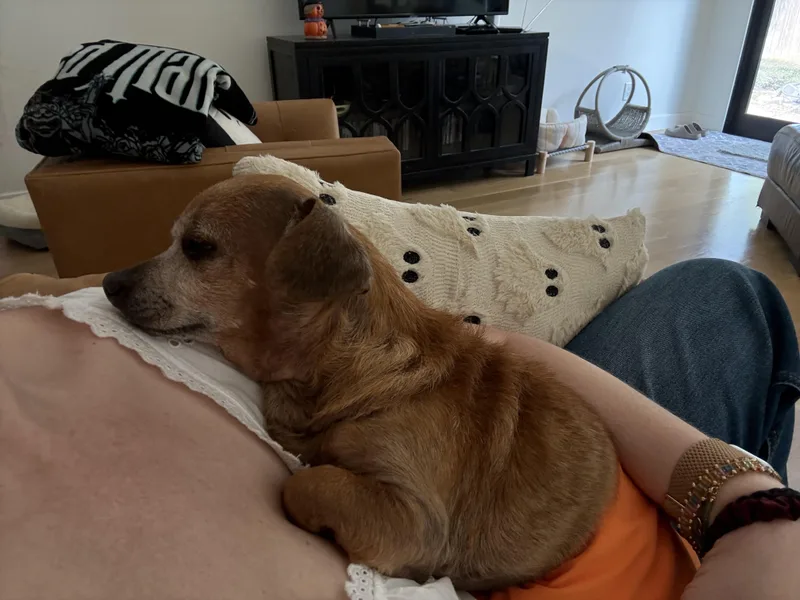 Franklin thumbnail 2