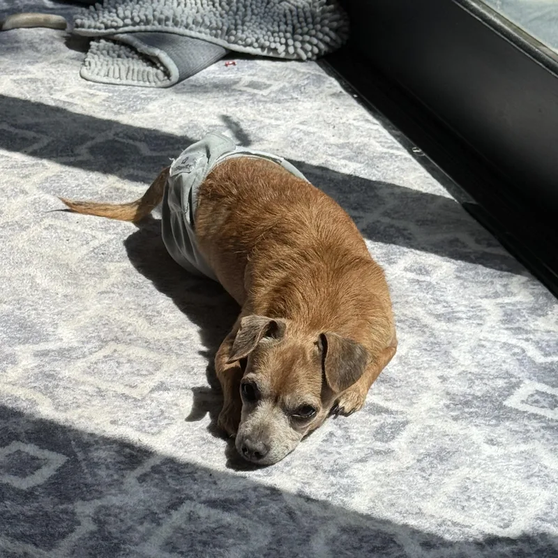 Franklin thumbnail 3