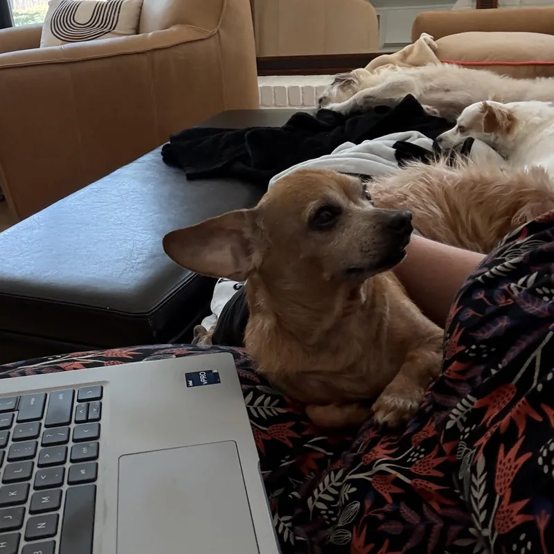 Franklin thumbnail 4