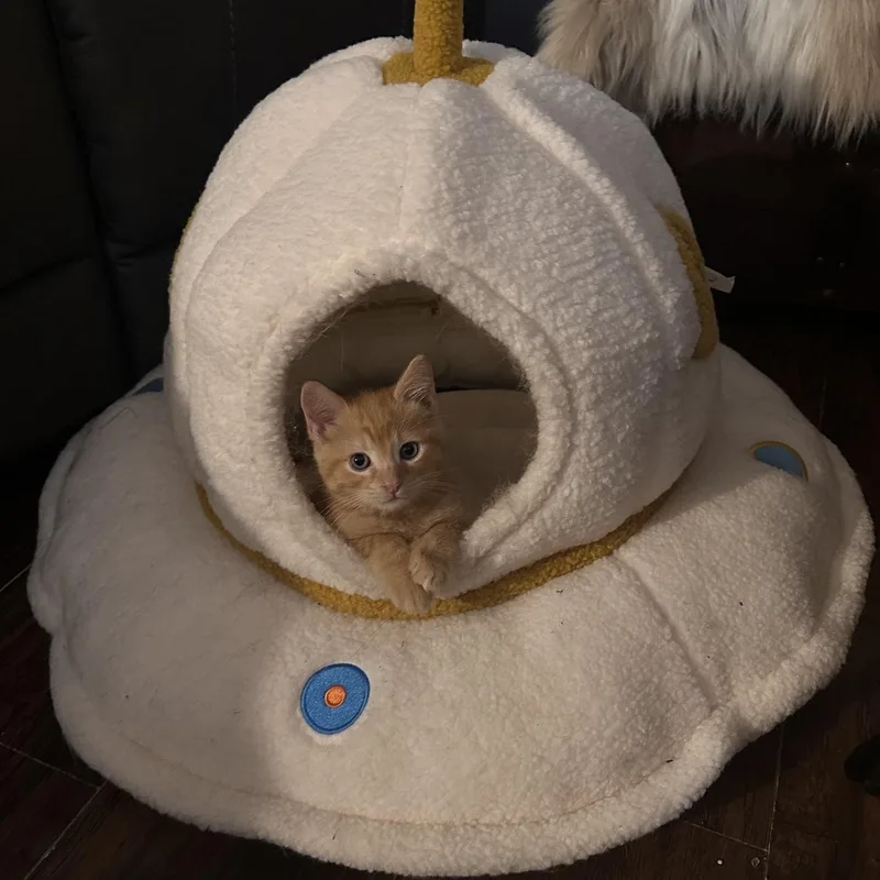Major Tom thumbnail 4