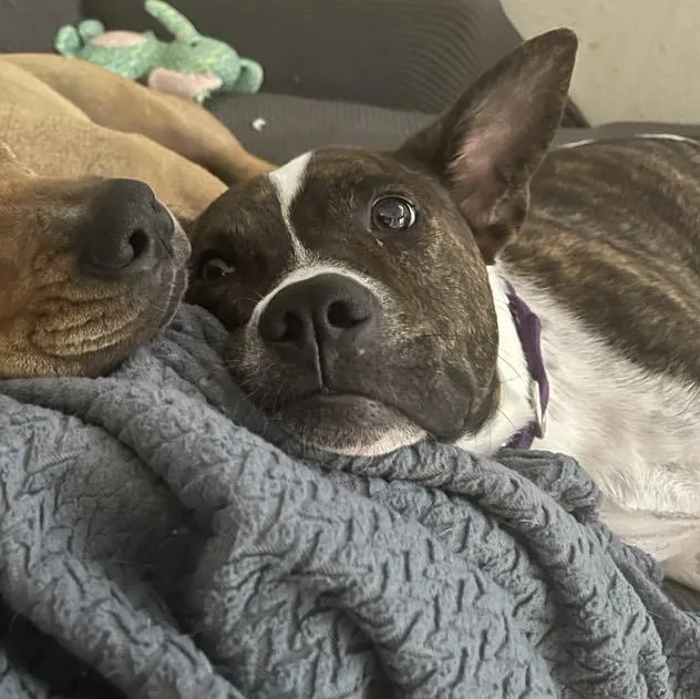 The Sundance Kid thumbnail 2